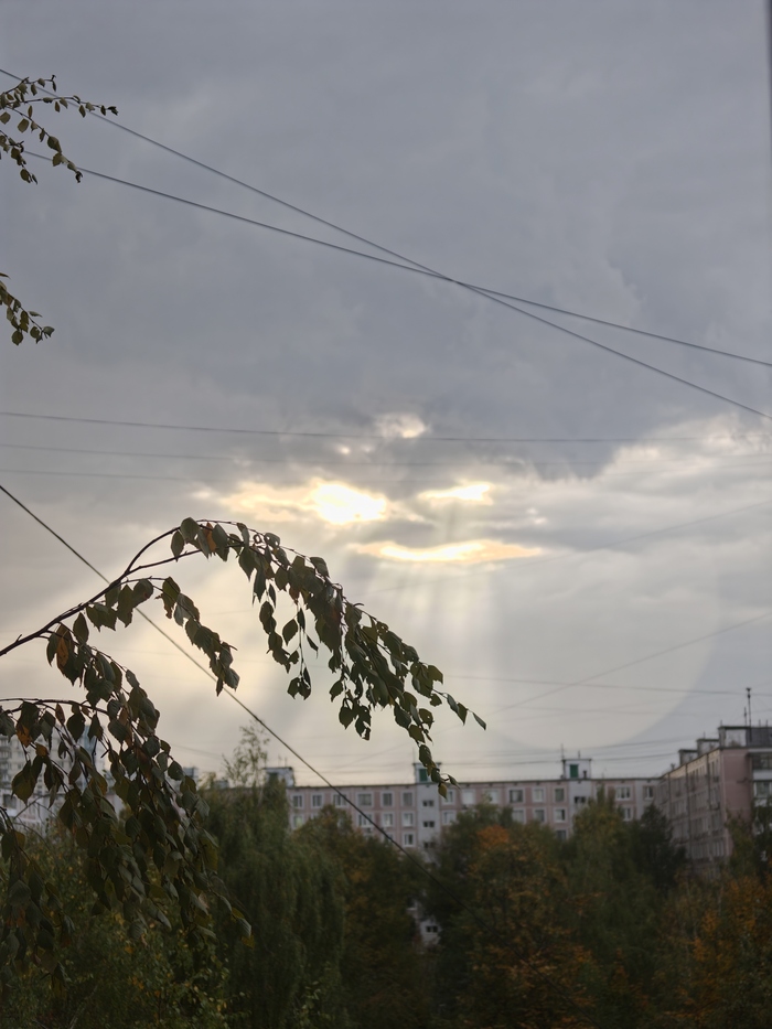 Вот примерно также я смотрю из окна по утрам, но на этой неделе у меня появилась компания.