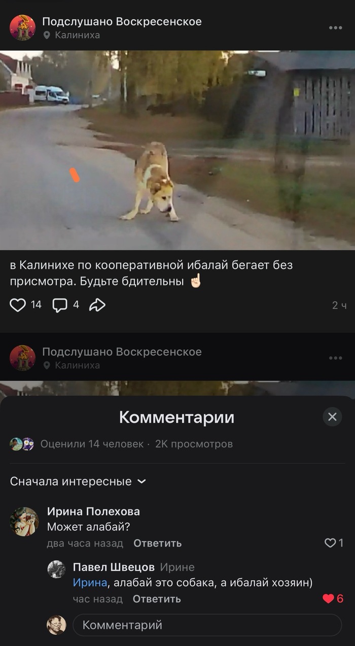 ��� �������