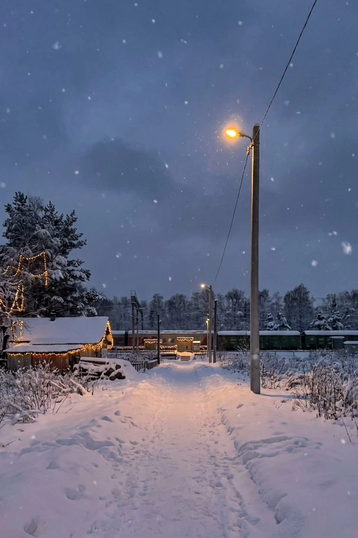 До зимы 59 дней