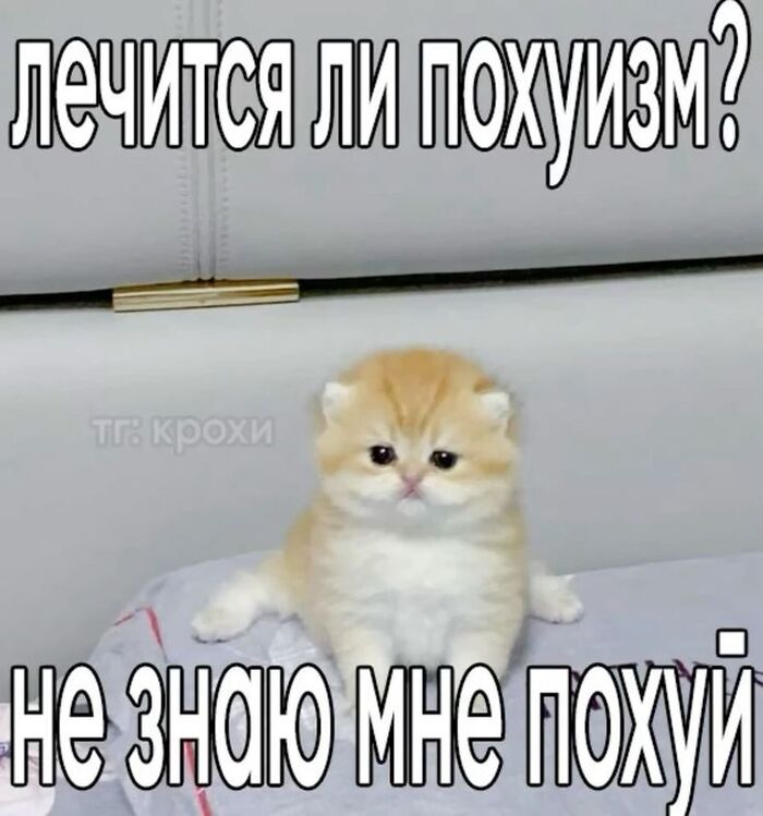 ����