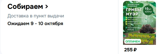 Волшебные грибы