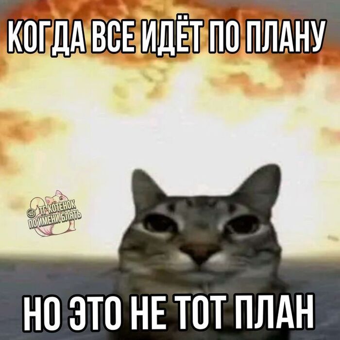 �� ���� 
