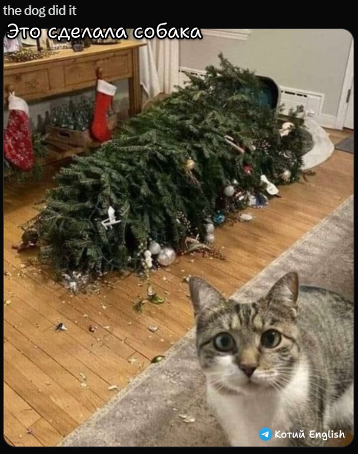 Свидетель