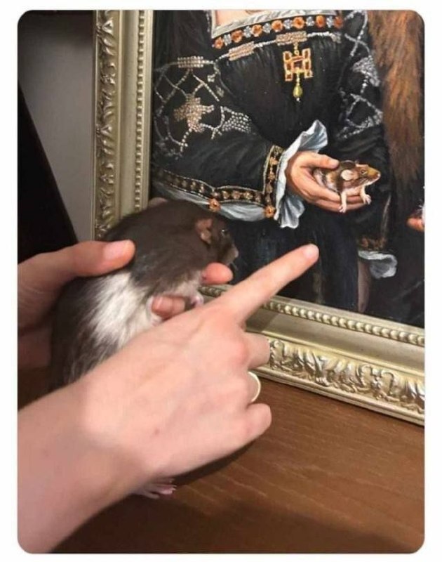����� �� ���� ���������