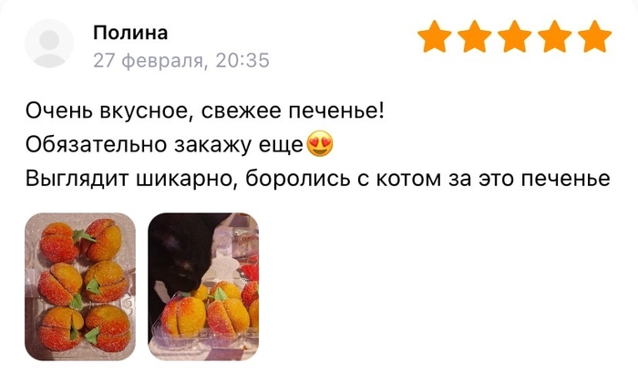 Бедный кот