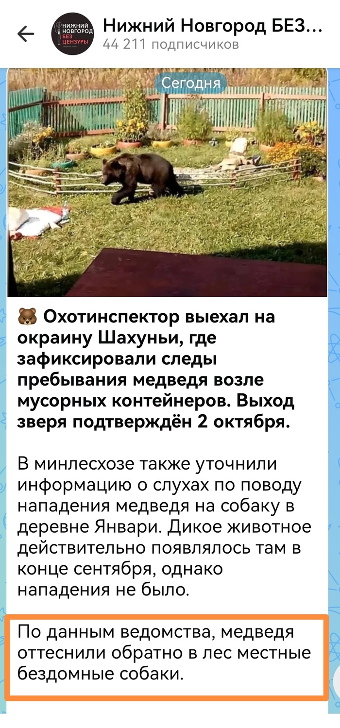 Новость из местного паблика