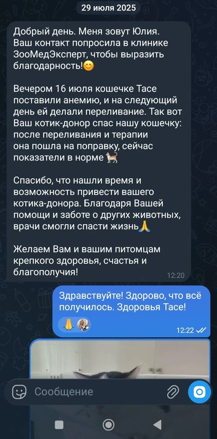 ������ ������� ������������, ��� ����� �������� �����