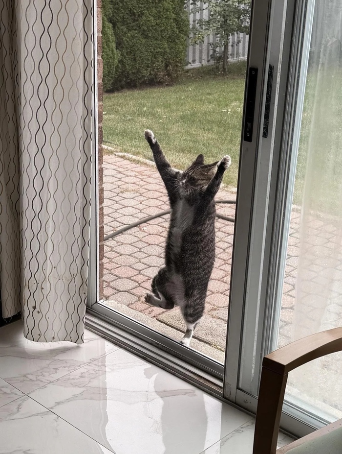 ������