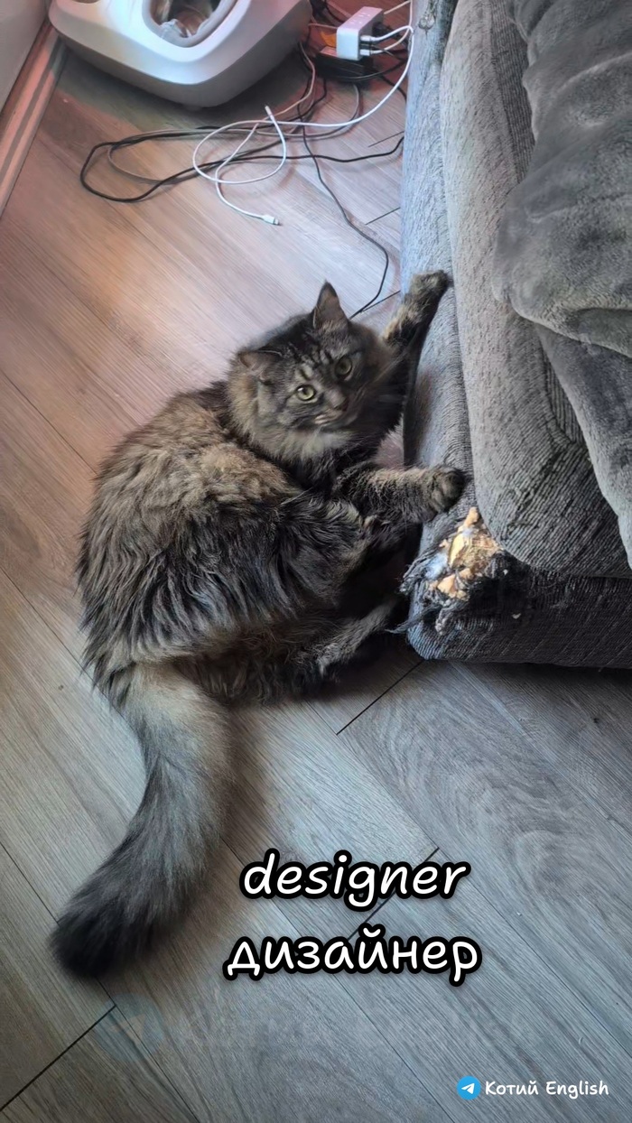 Дизайнер