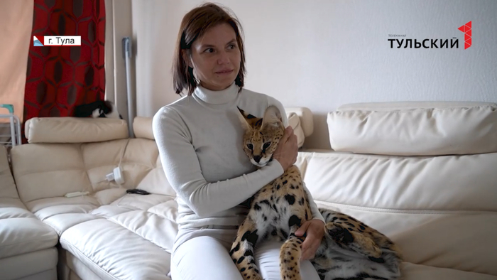 Но, спорить не будем, некоторые люди в своих сервалах души не чают.
