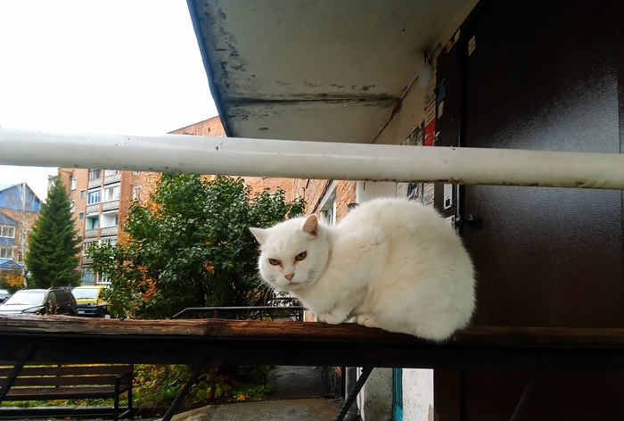 Смотрит на всех, как на говно.