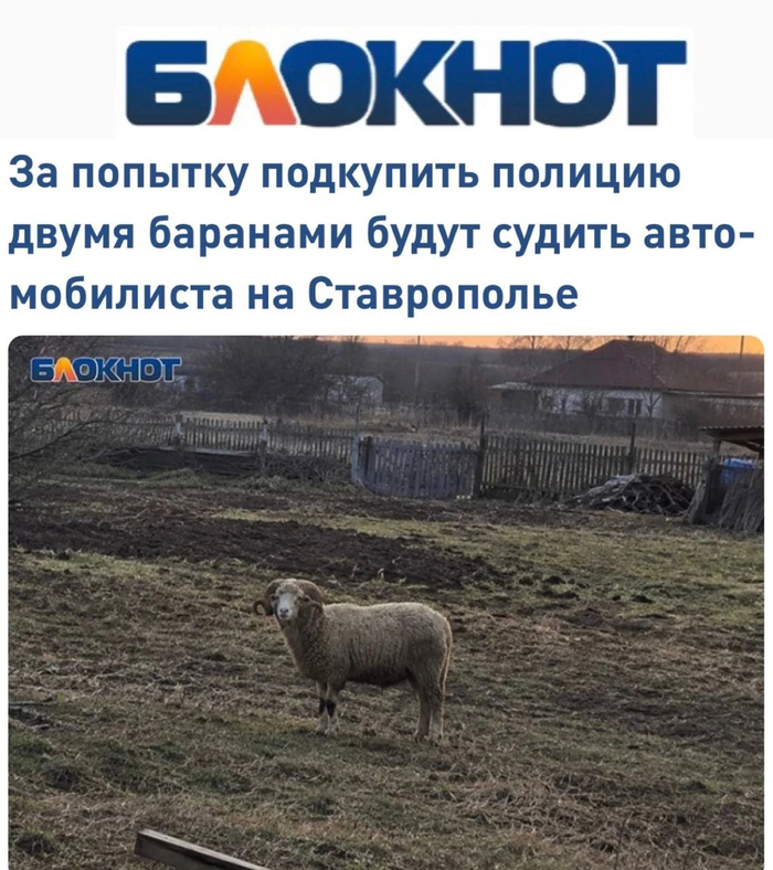��� ������ ������ ��������