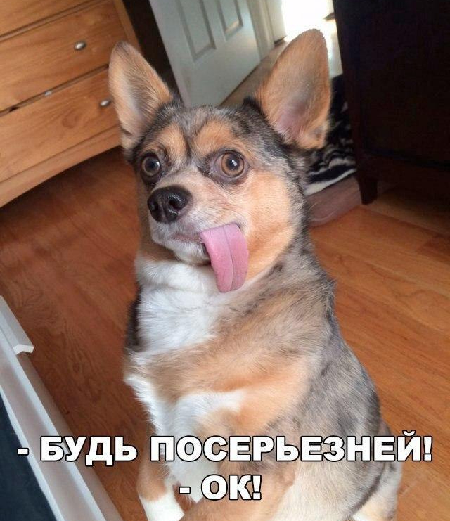 Всем доброго утра настраиваемся на серьёзный лад))))