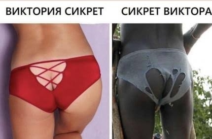 ���������: