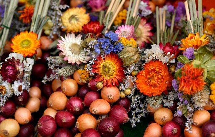 ������� ������ �� ���������� ������� �����, ��������//����: Martin Schutt/picture alliance via Getty Images