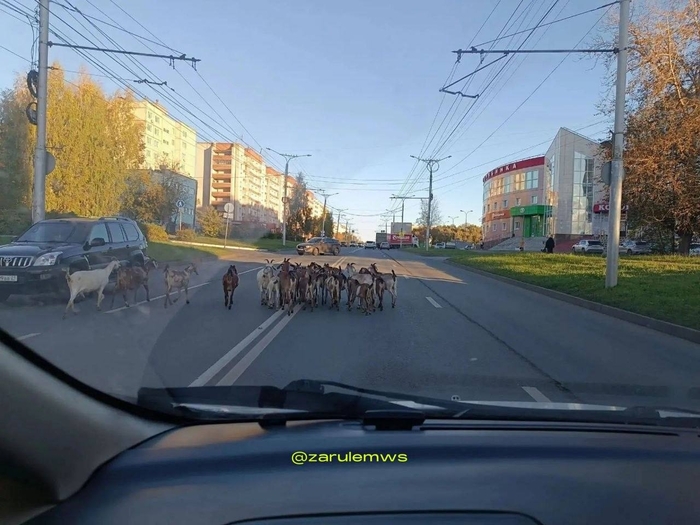 Картина ставшая уже типичной в Чебоксарах)