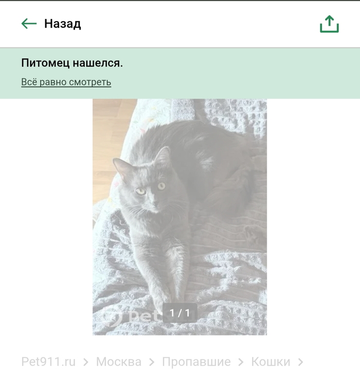 ������ ���������� �������� 🫶