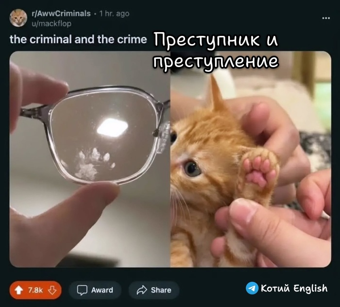 Дело раскрыто