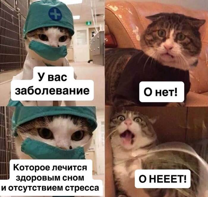 ���������� ���������� ����� 30