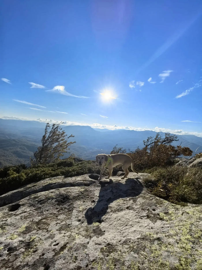 Может гора и не высокая, но это ее первый подъем