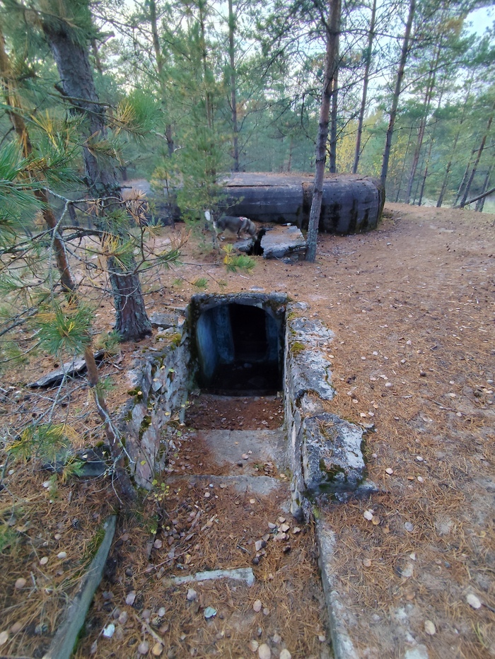 Вход в ДОТ.