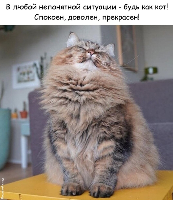 ���� ��� ���
