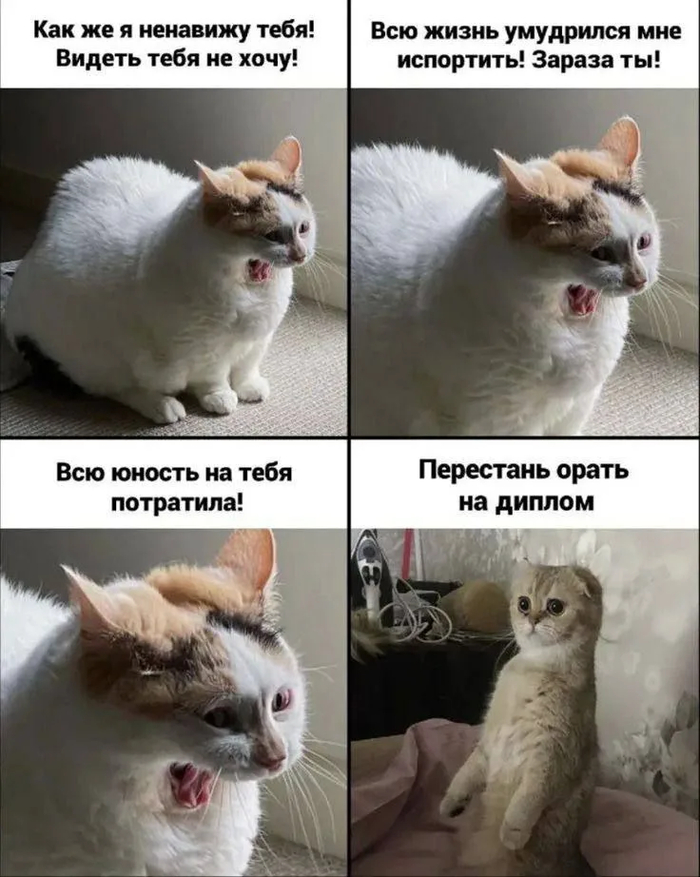 ��������� ������ ����