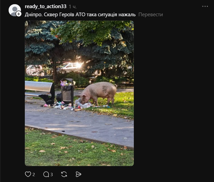 ������ �� �����