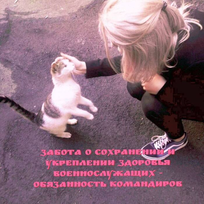 База от альтушки