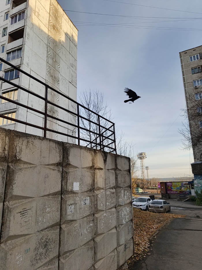���� ������� 13.10.2024
