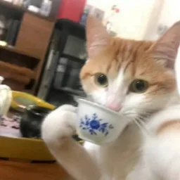 POnitiPUPKA777