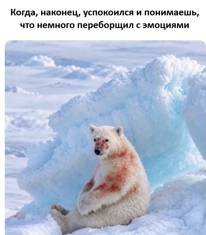 ������ �������