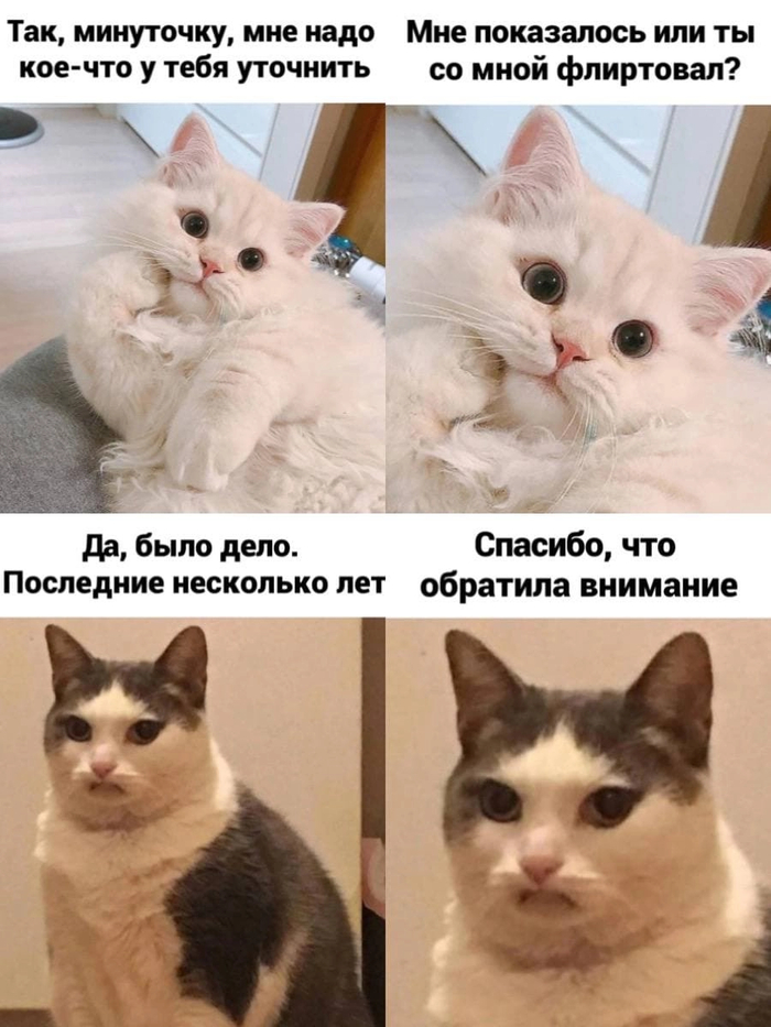 В активном поиске