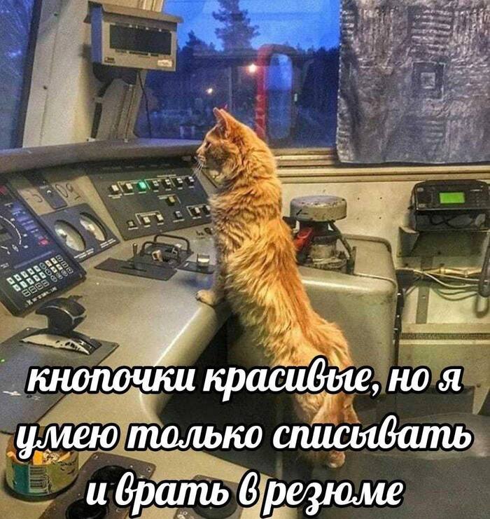 Сейчас только так (шутка)