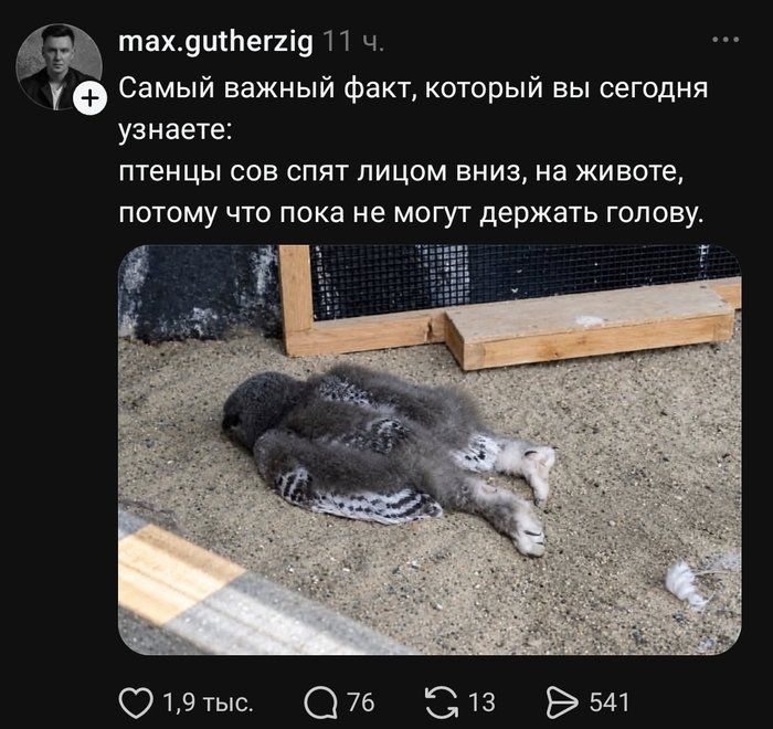 � ���, ������ ����?