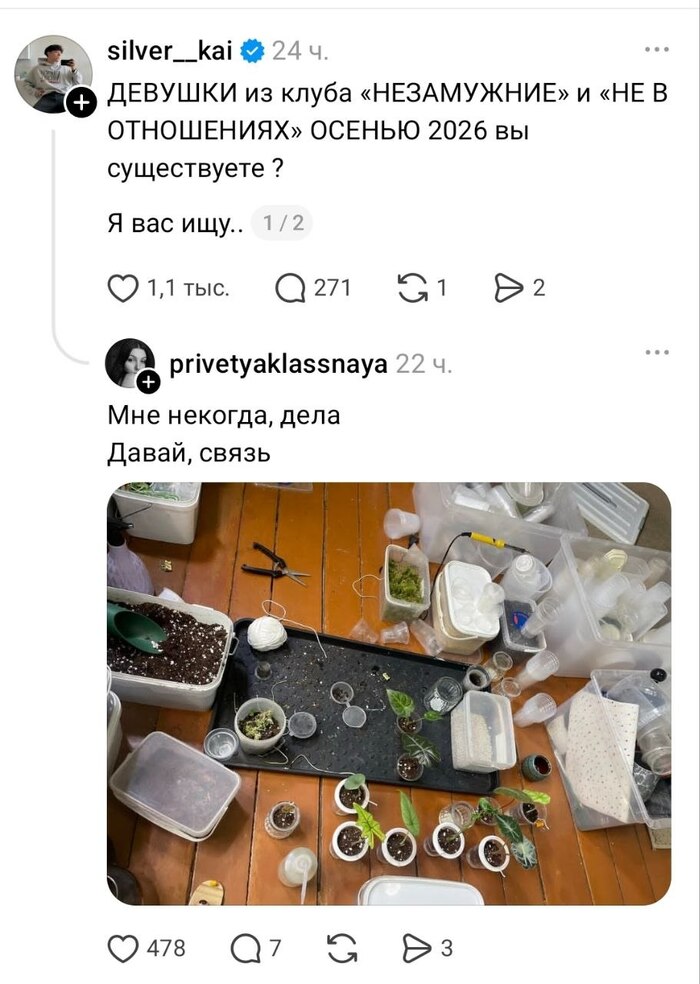 Они все же есть!