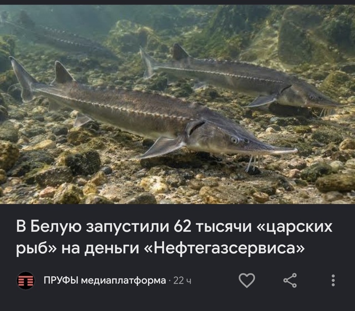 �������, ������� ���?