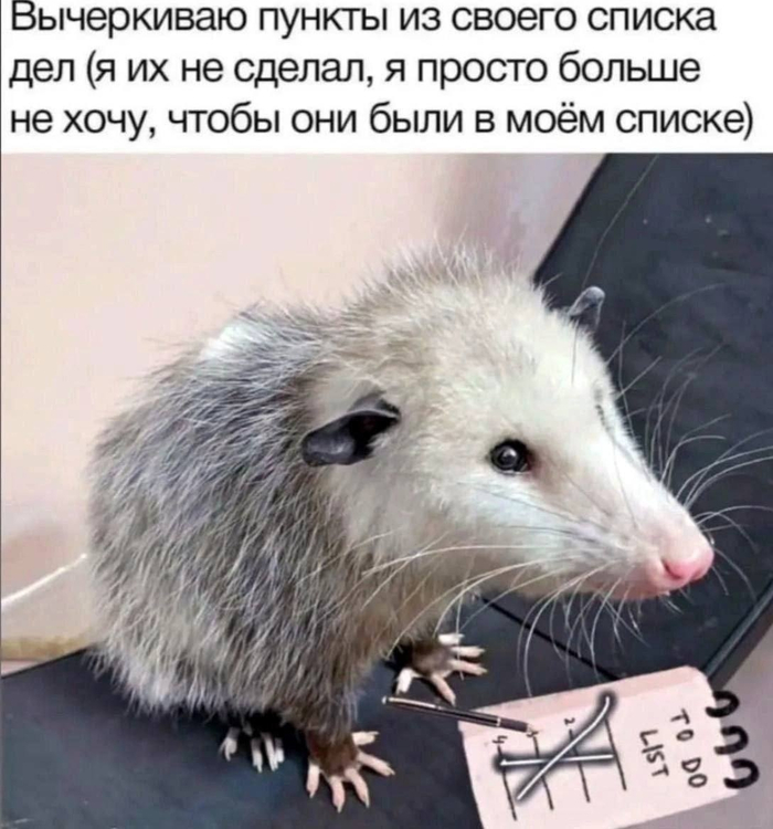 Когда в который раз сел переносить недоделанные дела на следующую неделю