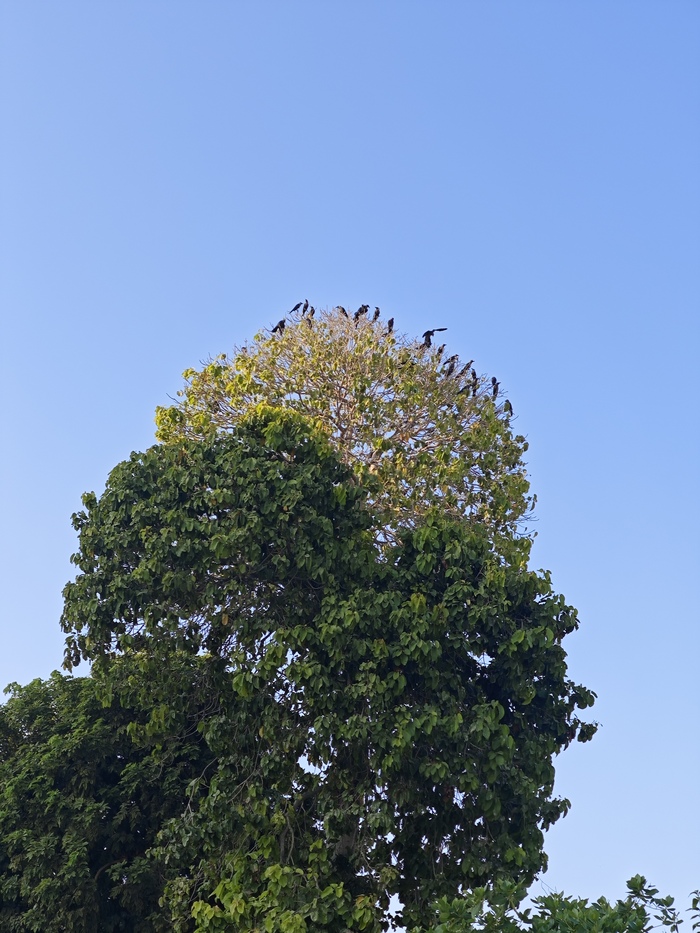 ������ ������ ��������