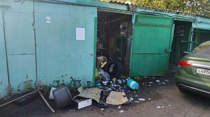 Правда, он красивый?