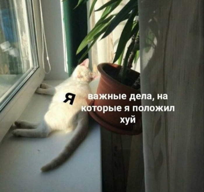 Ну и ладно