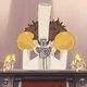 ����� ����� ������ ���� �����������