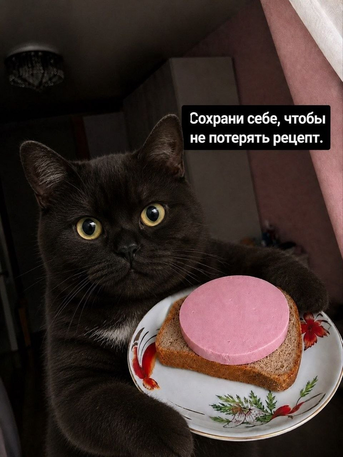 Не благодарите
