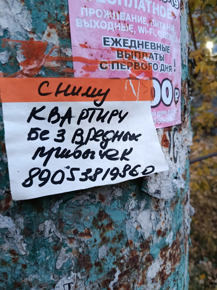 � ���� �������� �����?