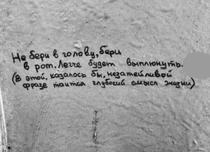 Стена дело говорит