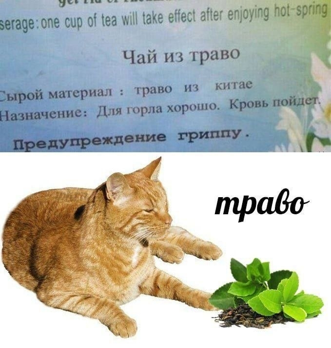 Будьте внимательны с чаями из Китая