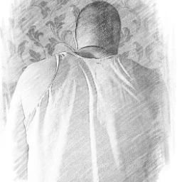 ViveHodie