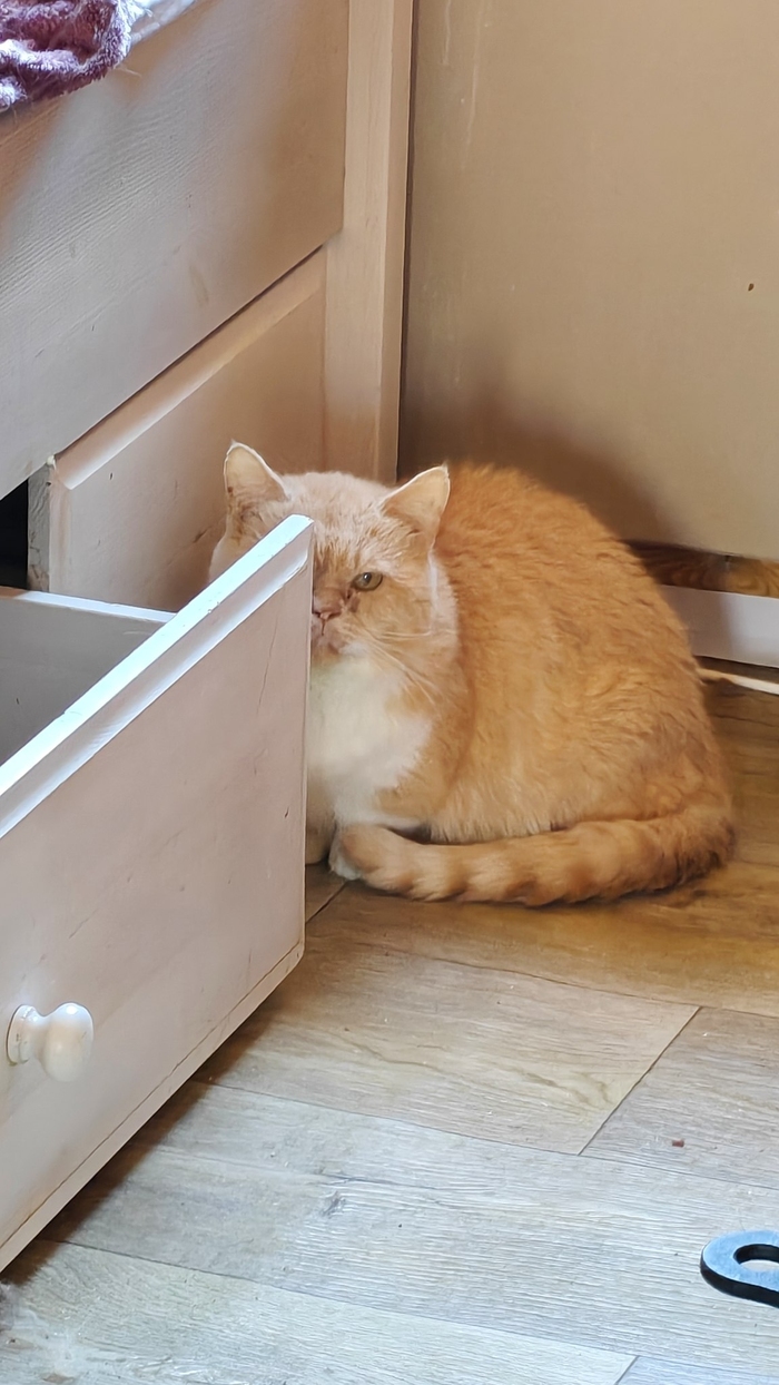 � �� ���� ���� ��� �� ������ 15 ������� ���