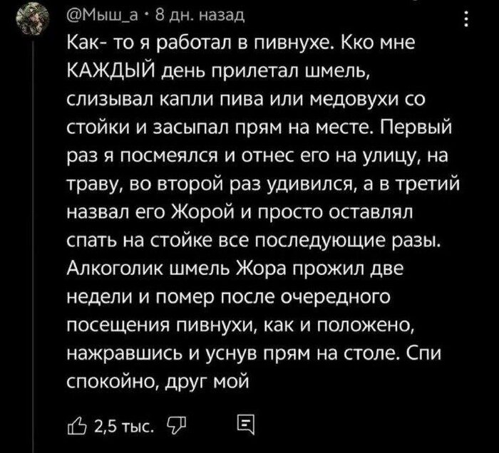 Тянет на экранизацию