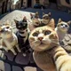 ����� ����� ������ ���� �����������
